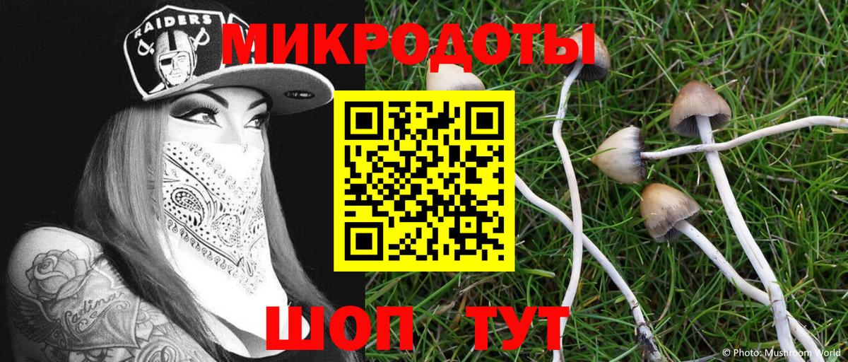 Псилоцибиновые грибы Magic Shrooms Волжск