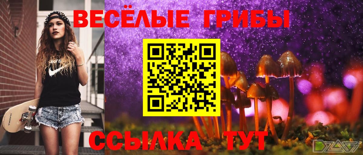 Псилоцибиновые грибы мухоморы  где найти   Вход с VPN  Волжск  Псилоцибиновые грибы мицелий 